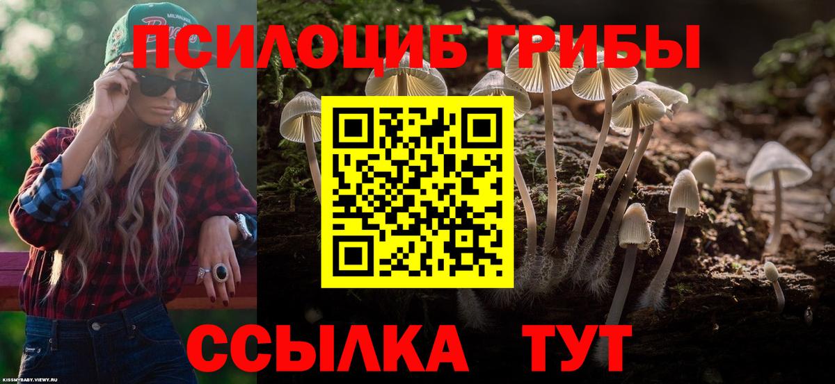 наркошоп  Вход с VPN  Галлюциногенные грибы ЛСД  Тулун  Псилоцибиновые грибы Cubensis 